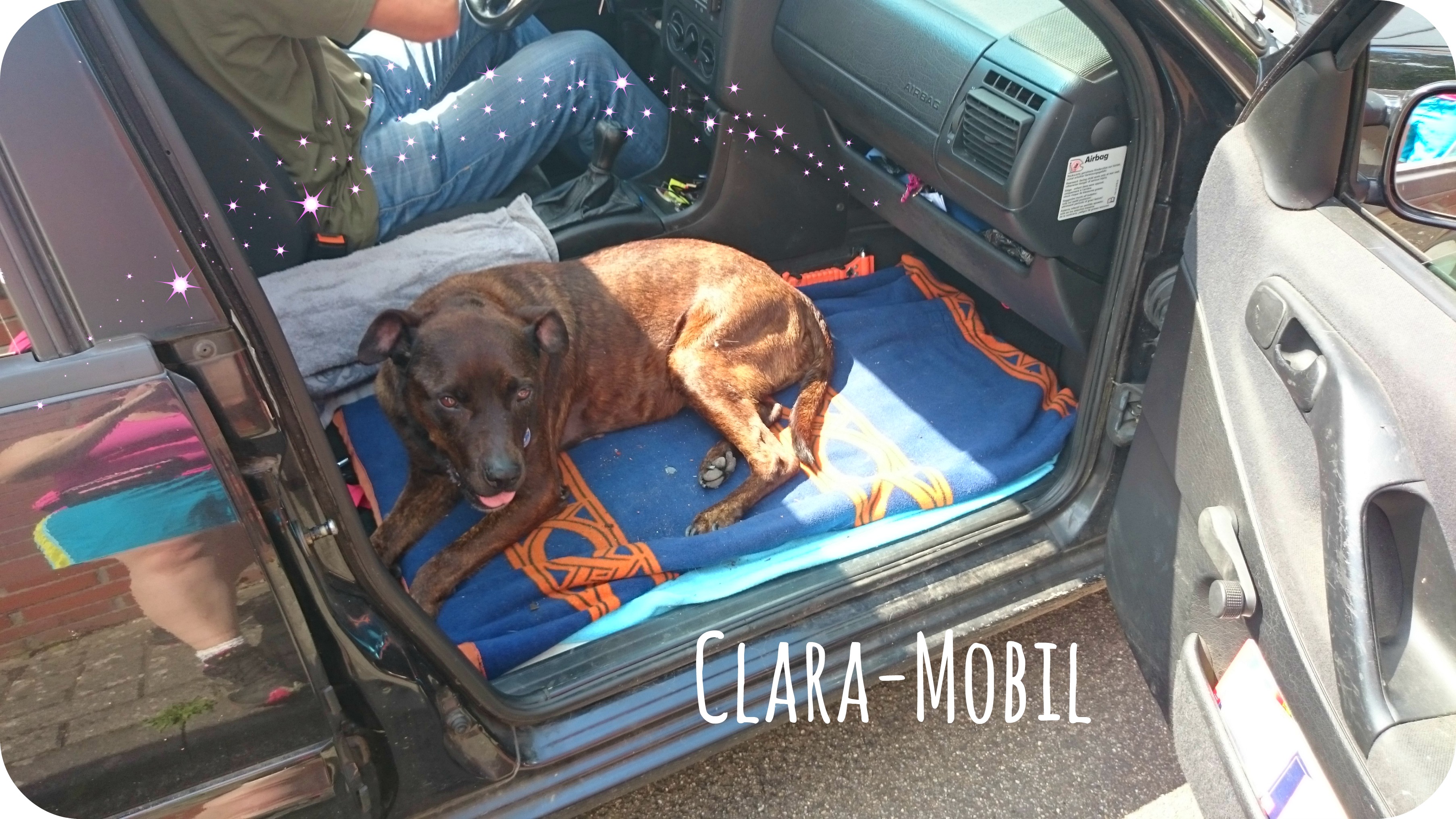 Clara mobil