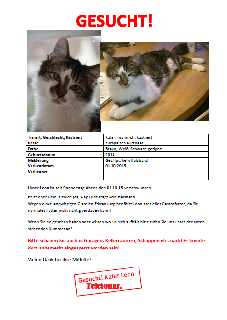 Meine Katze Ist Verschwunden