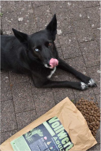 DOGREFORM Vollwert Hundefutter