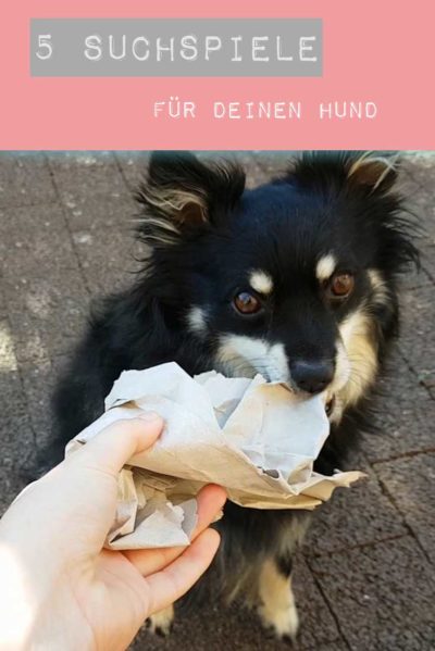 Pin it! Suchspiele Hund