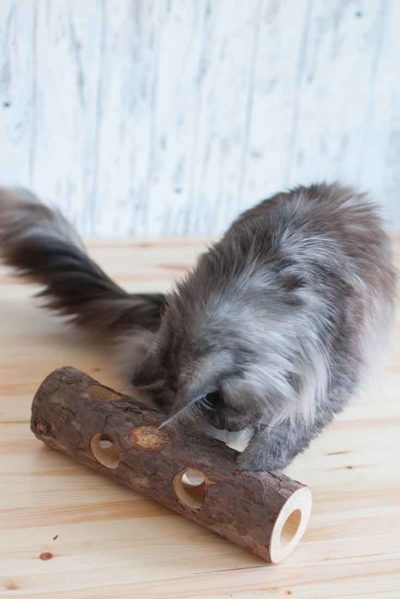 Almo Nature Intelligenzspielzeug Katzen Holz #zweckentfremdet