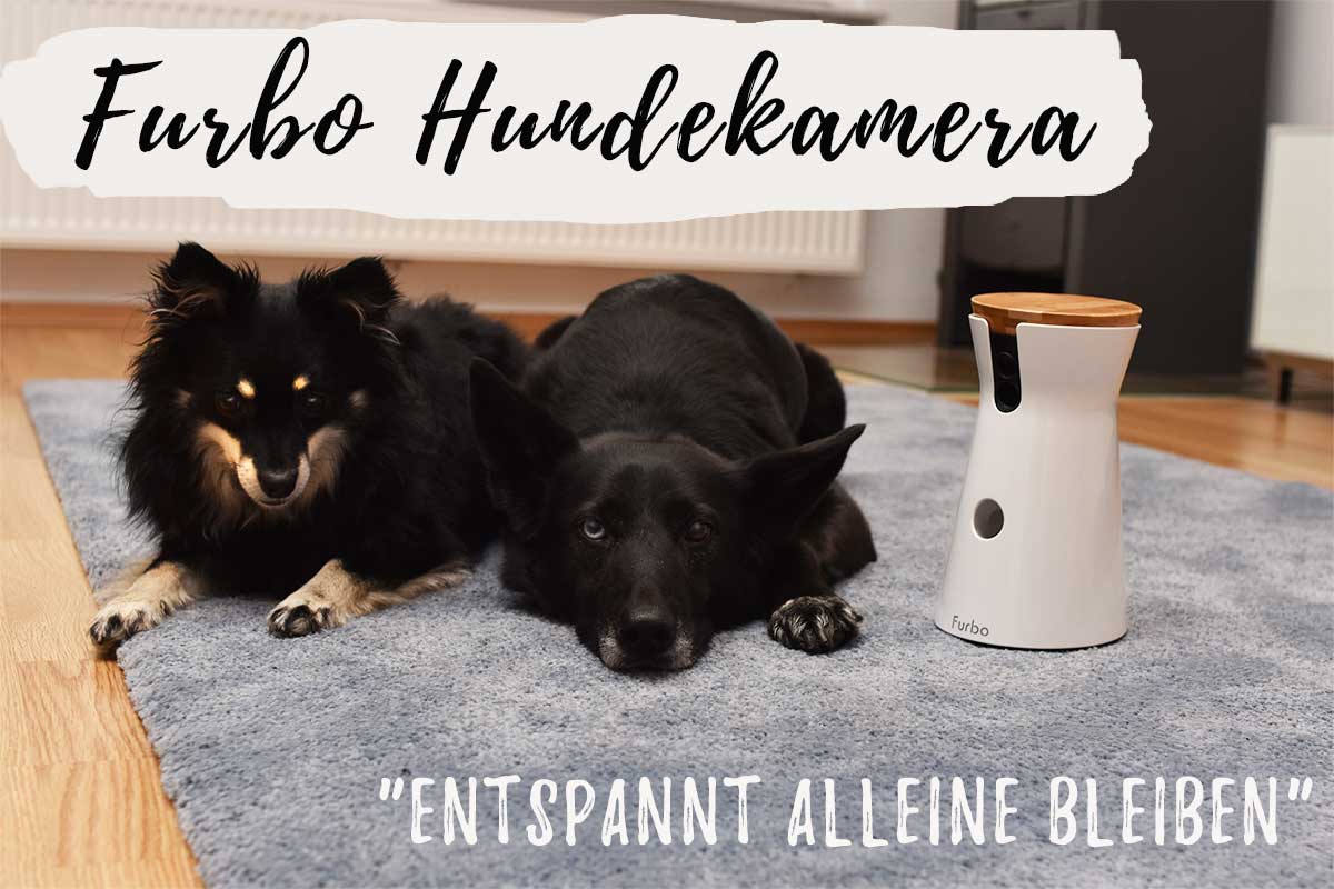 Furbo Hundekamera