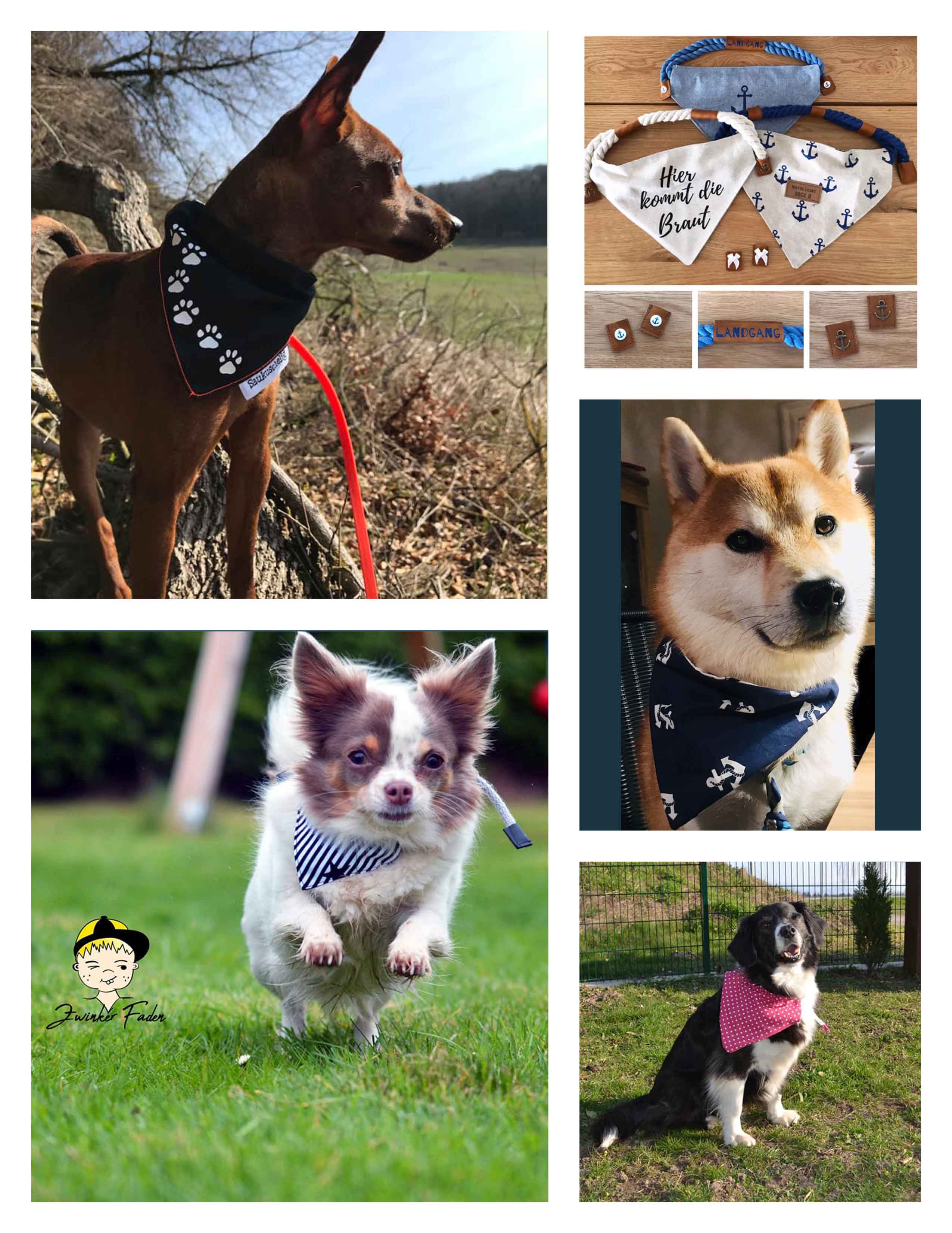Hunde mit Tau-Hundehalstüchern - Schnittmuster und Naehanleitung