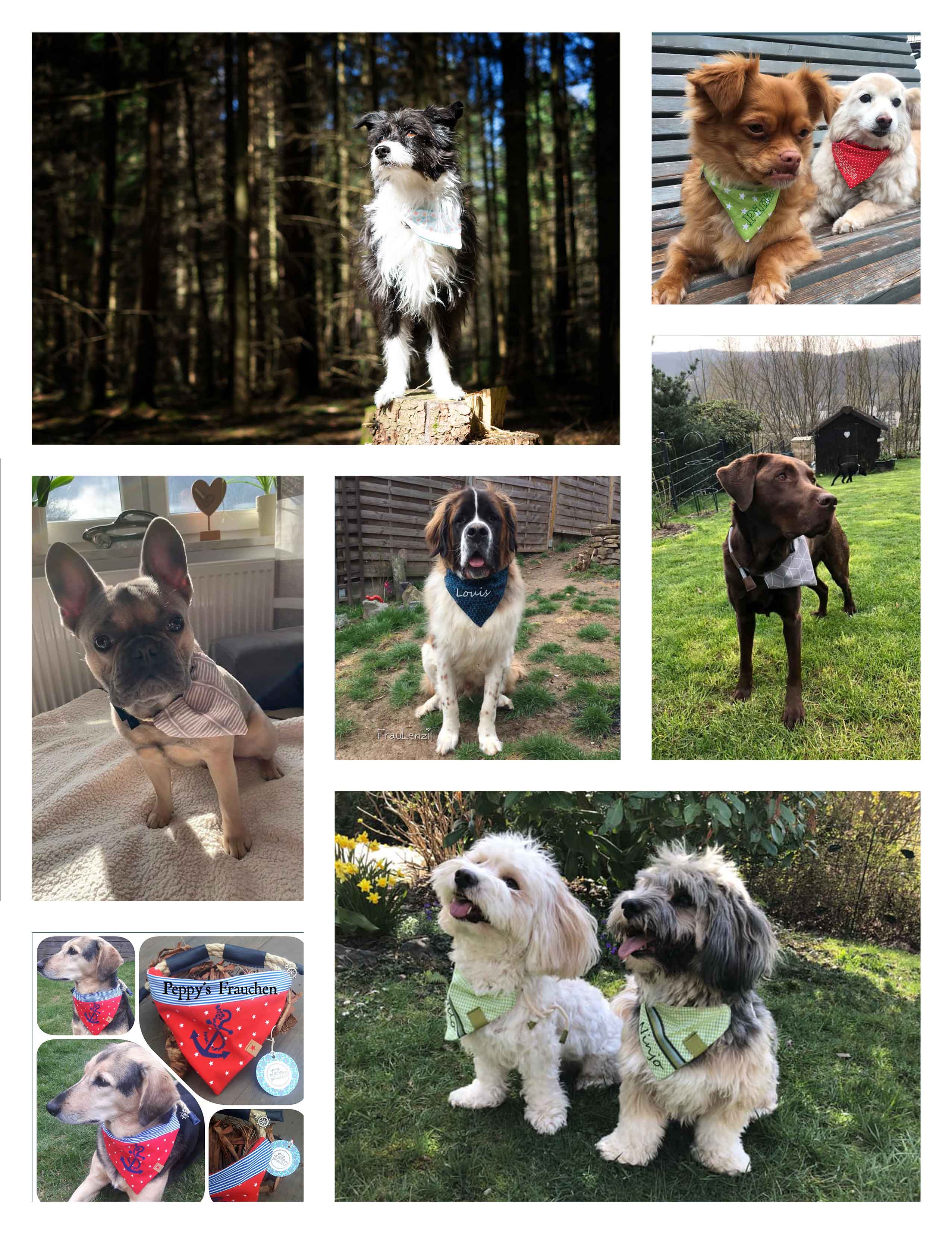 Hunde mit Tau-Hundehalstüchern - Schnittmuster und Naehanleitung