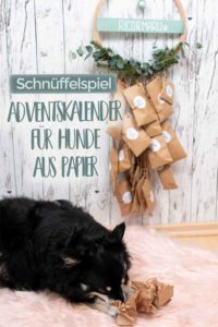 DIY Adventskalender fuer Hunde