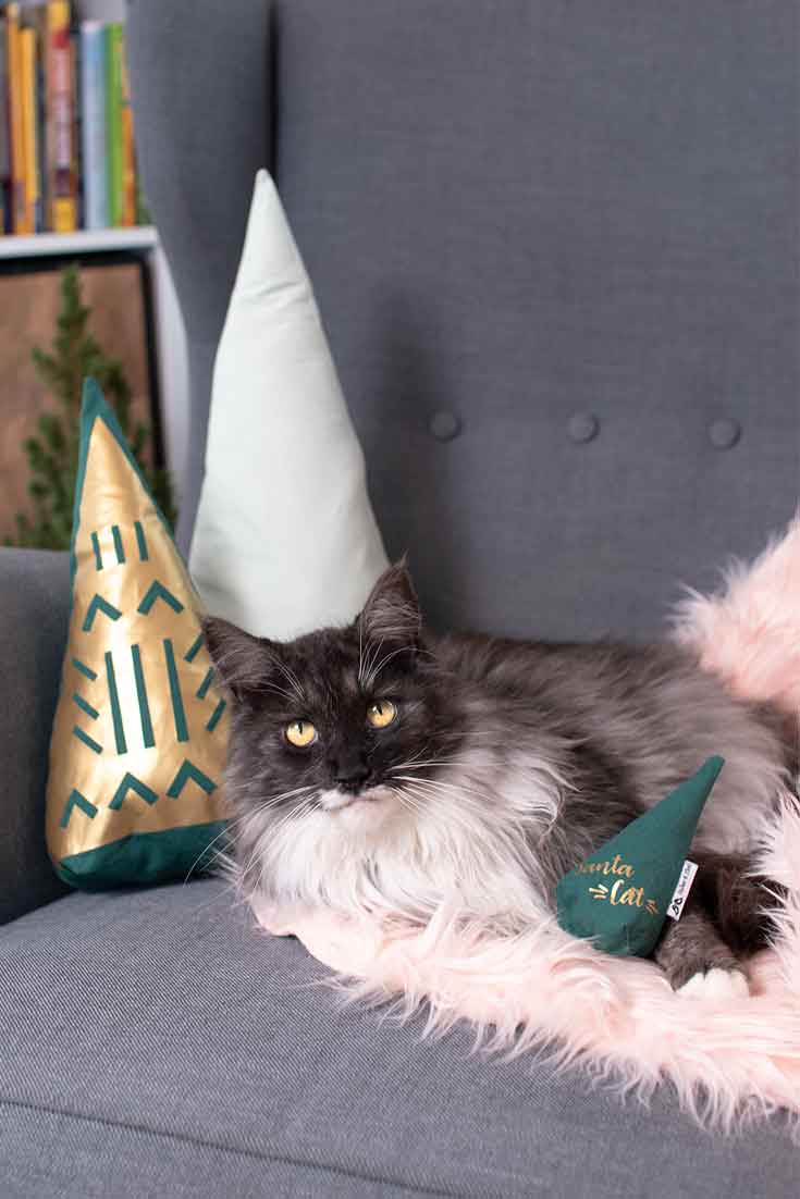 Kostenloses Schnittmuster Tannenbaum in 4 Größen - www.zuckerundzimtdesign.com