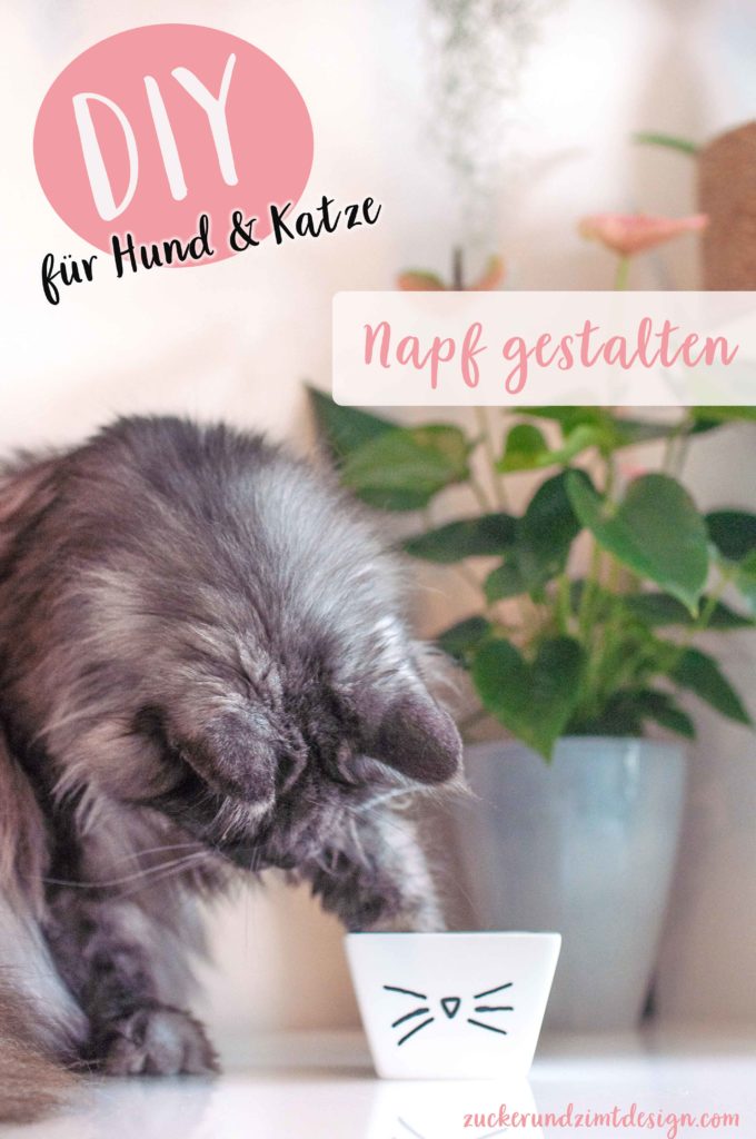 Tipps mit denen deine Katze mehr trinkt mit DIY Tutorial für bemalten Napf im Katzendesign - www.zuckerundzimtdesign.com