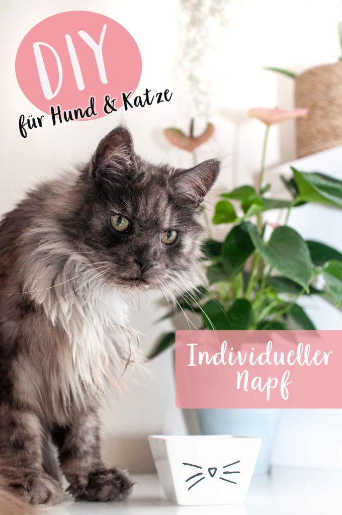 Tipps mit denen deine Katze mehr trinkt mit DIY Tutorial für bemalten Napf im Katzendesign - www.zuckerundzimtdesign.com