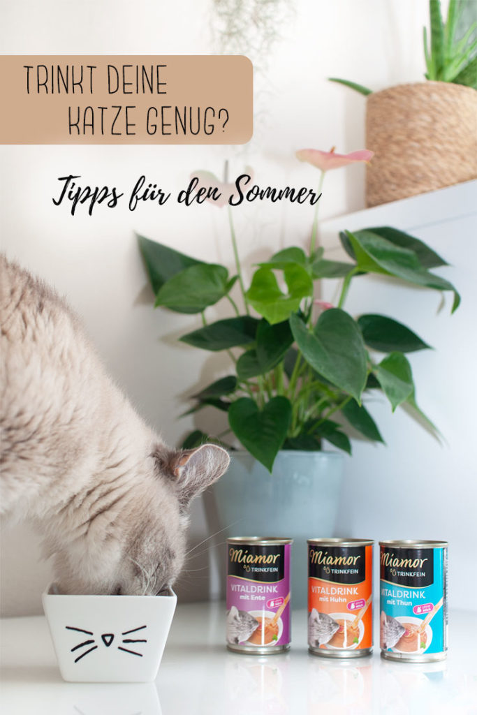 Tipps mit denen deine Katze mehr trinkt mit DIY Tutorial für bemalten Napf im Katzendesign - www.zuckerundzimtdesign.com