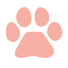 icon-pfote