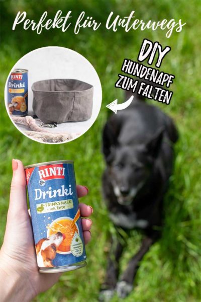 DIY für Hunde: kostenloses Schnittmusterfaltbarer Hundenapf || www.zuckerundzimtdesign.com