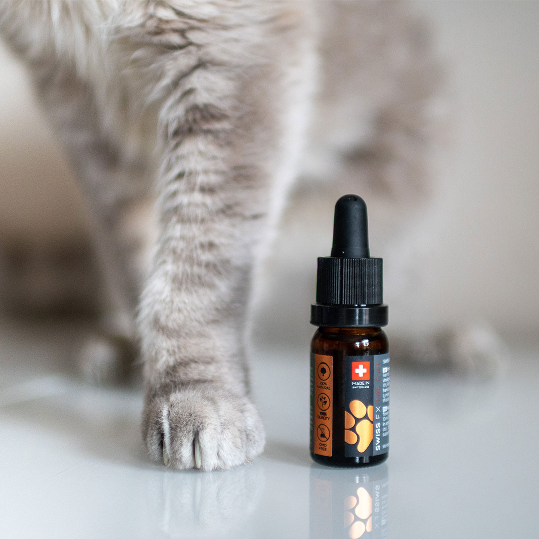  SWISS FX CBD Öle für Hund und Katze || zuckerundzimtdesign.com